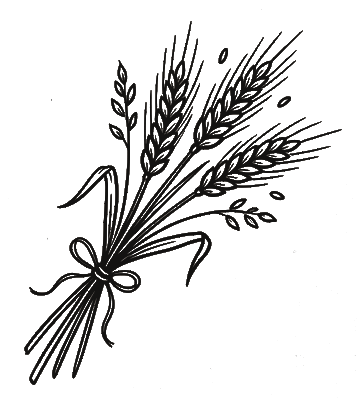 Wheat stalks sketch